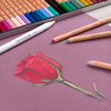 Lixa Artística para Grafite ou Mina Cretacolor - 43004