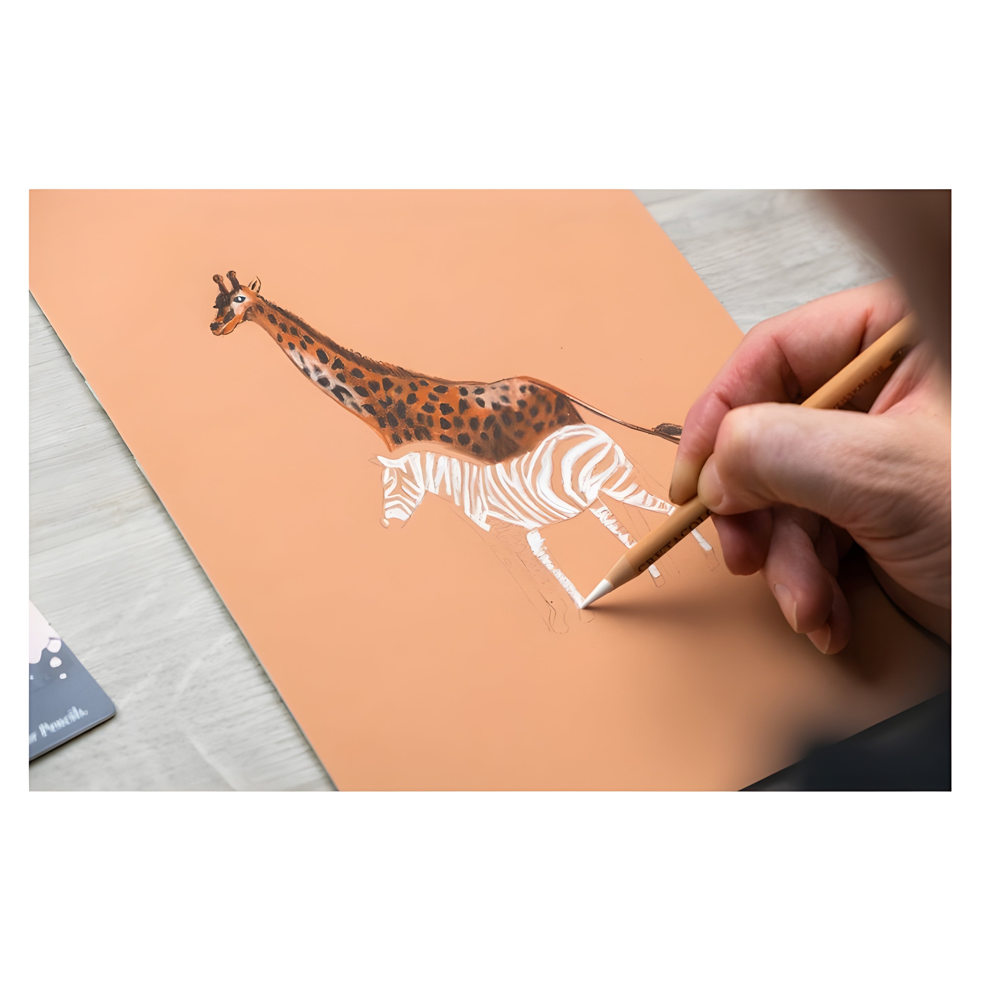 Kit para Desenho Sketching Cretacolor com 7 Peças - 400 10