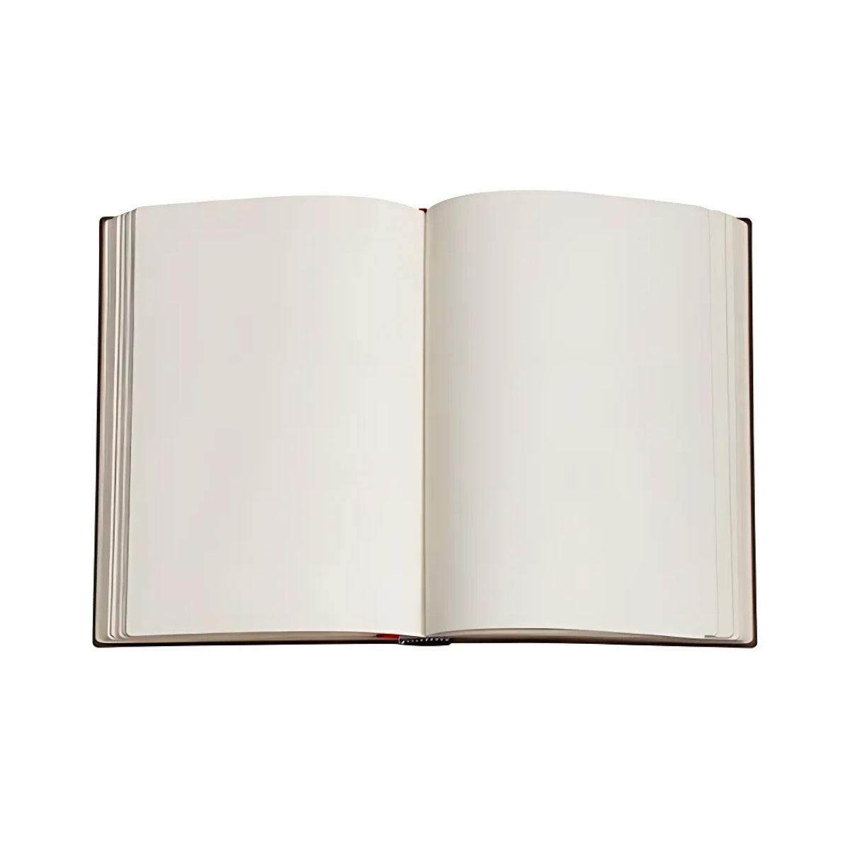 Caderno Paperblanks Van Gogh?s Irises Capa Dura Midi 120g/m² 13x18cm 144 Páginas sem Pauta - Pb8205-7