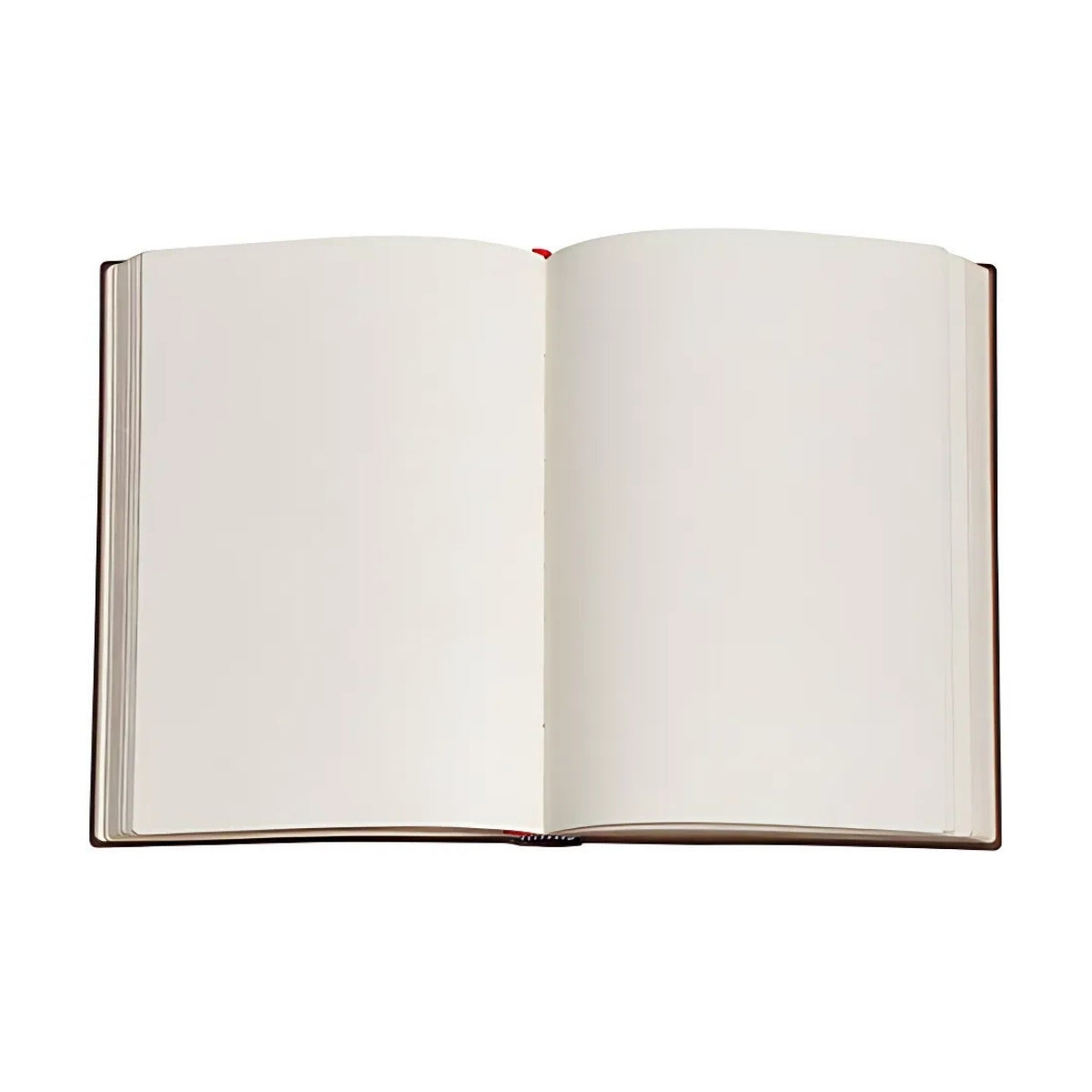 Caderno Paperblanks Van Gogh?s Irises Capa Dura Midi 120g/m² 13x18cm 144 Páginas com Pauta - Pb8204-0