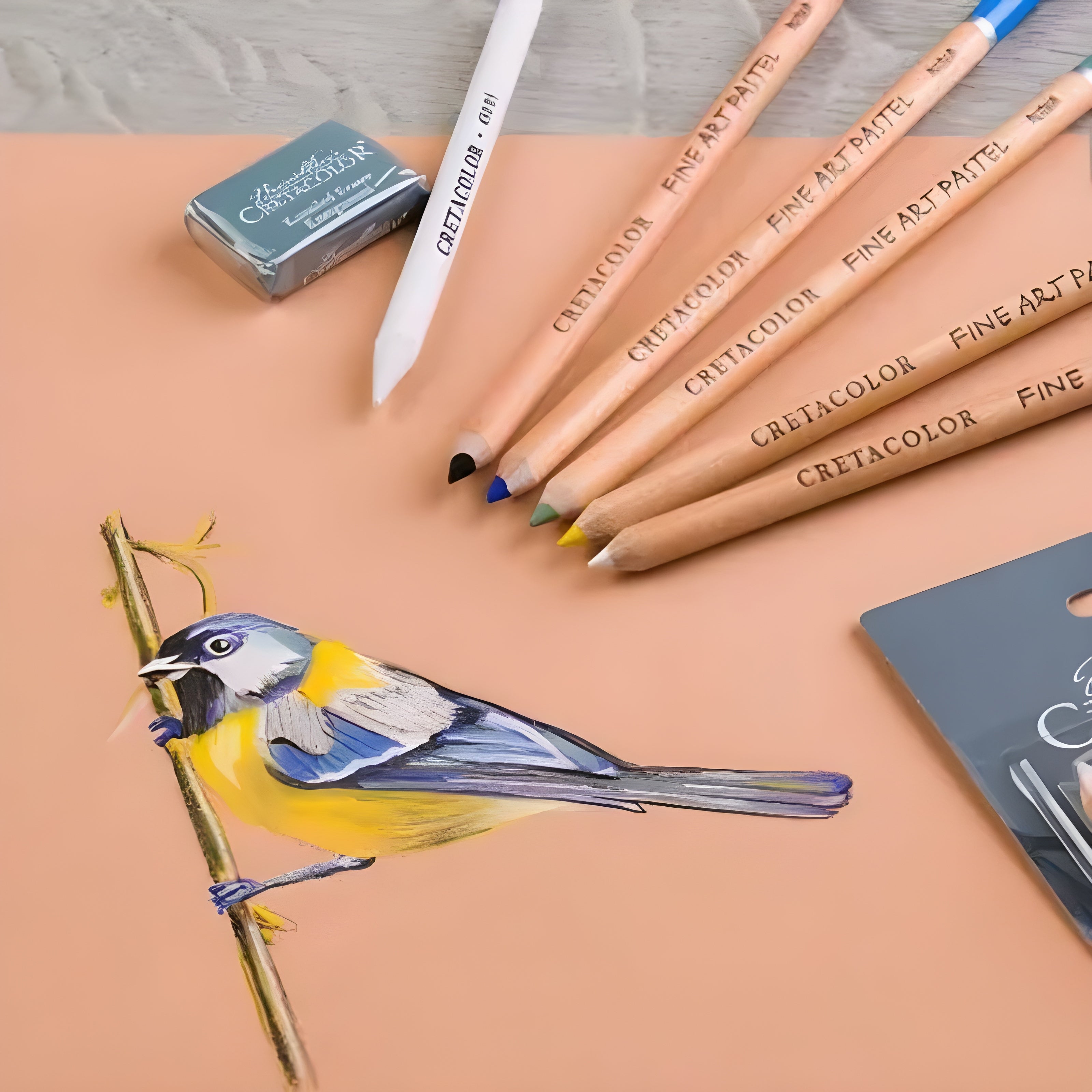 Estojo de Lápis Pastel Seco Cretacolor Artist Studio Still Life com 8 Cores 475 08