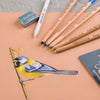 Estojo de Lápis Pastel Seco Cretacolor Artist Studio Still Life com 8 Cores 475 08