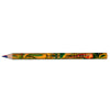 Lápis de Cor Jumbo Aquarelável Megaquattro Multicolorido Cretacolor - 34198