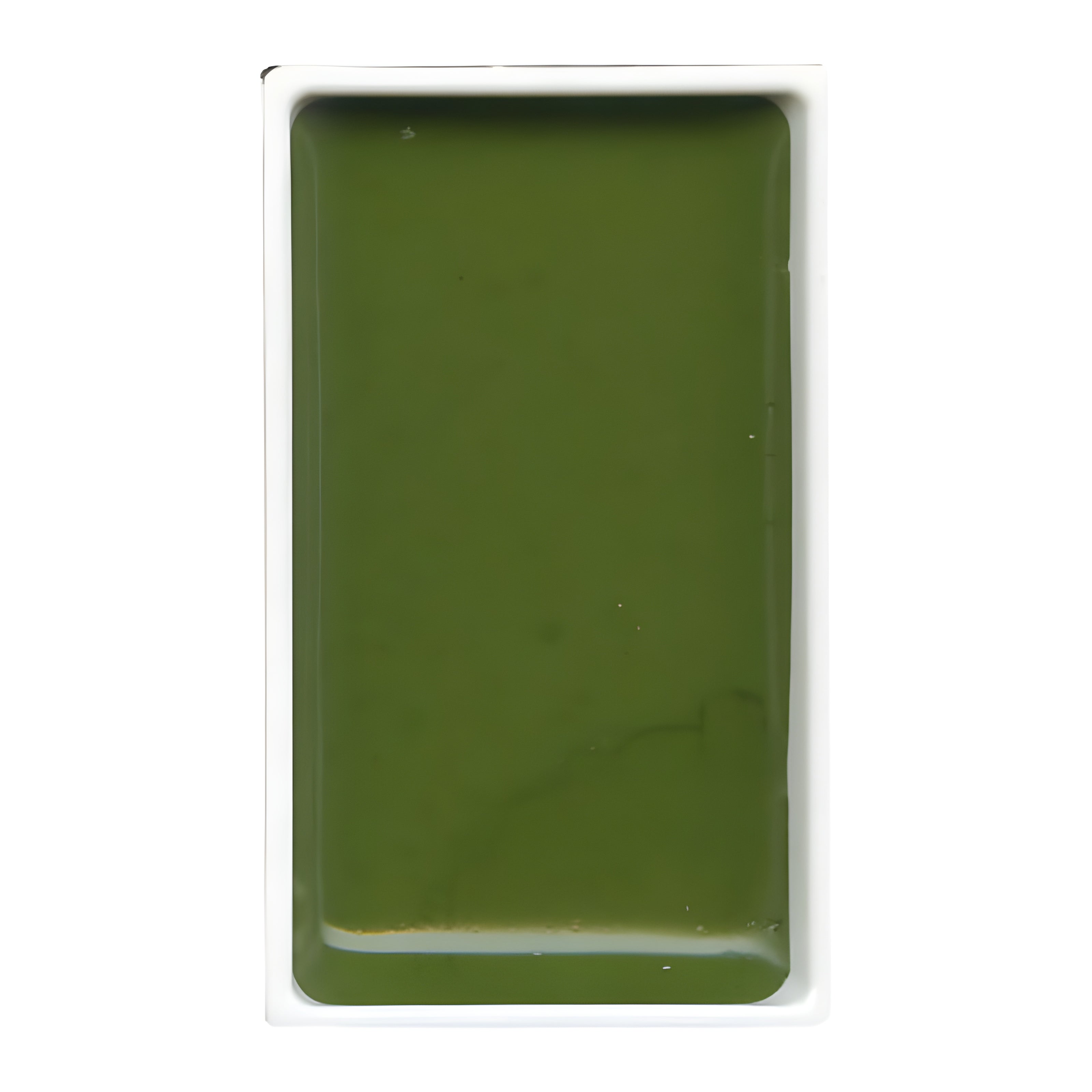 200881-tinta-aquarela-pastilha-gansai-tambi-054---olive-green-278339
