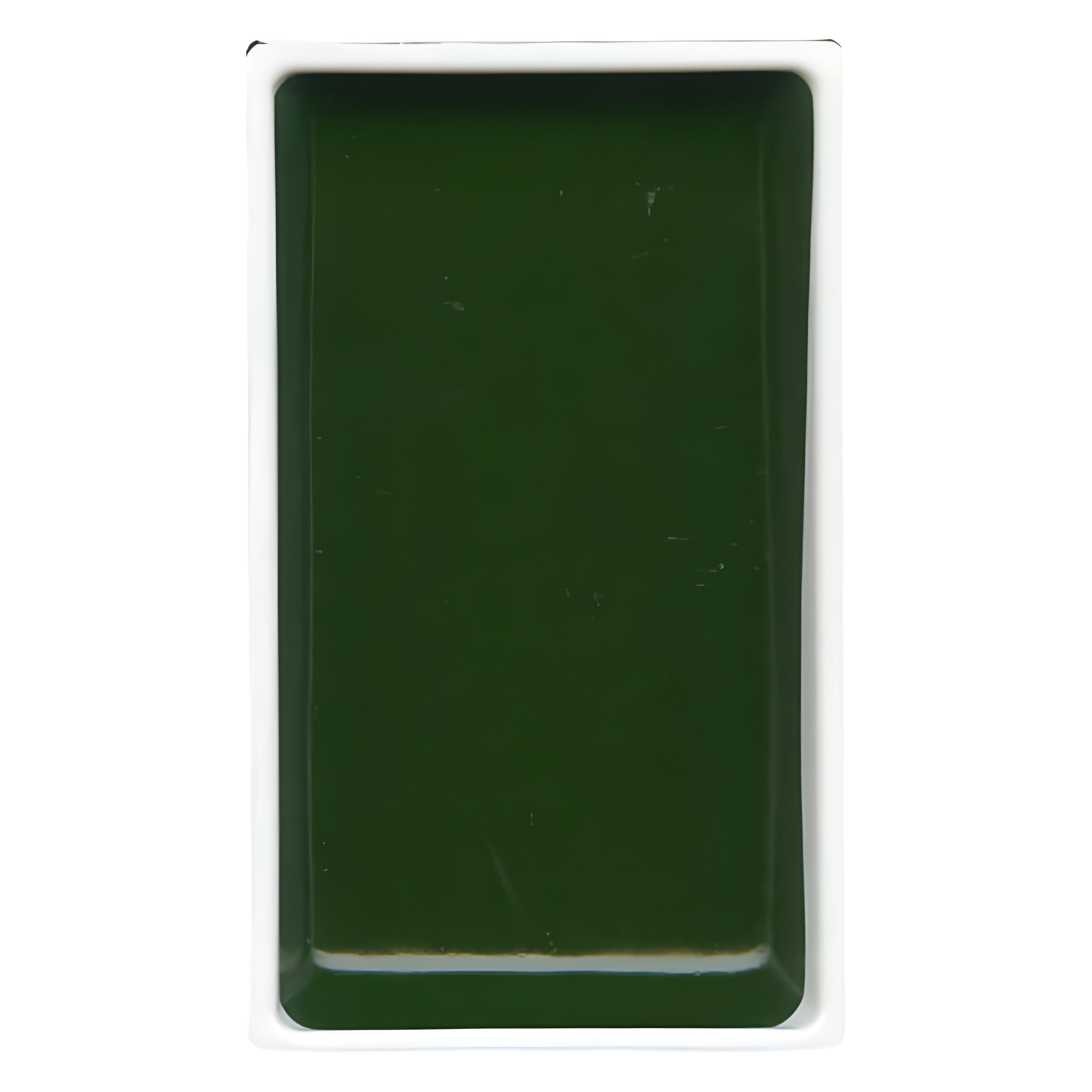 200906-tinta-aquarela-pastilha-gansai-tambi-058---sap-green-deep-278348