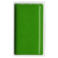 SAP GREEN LIGHT - 510