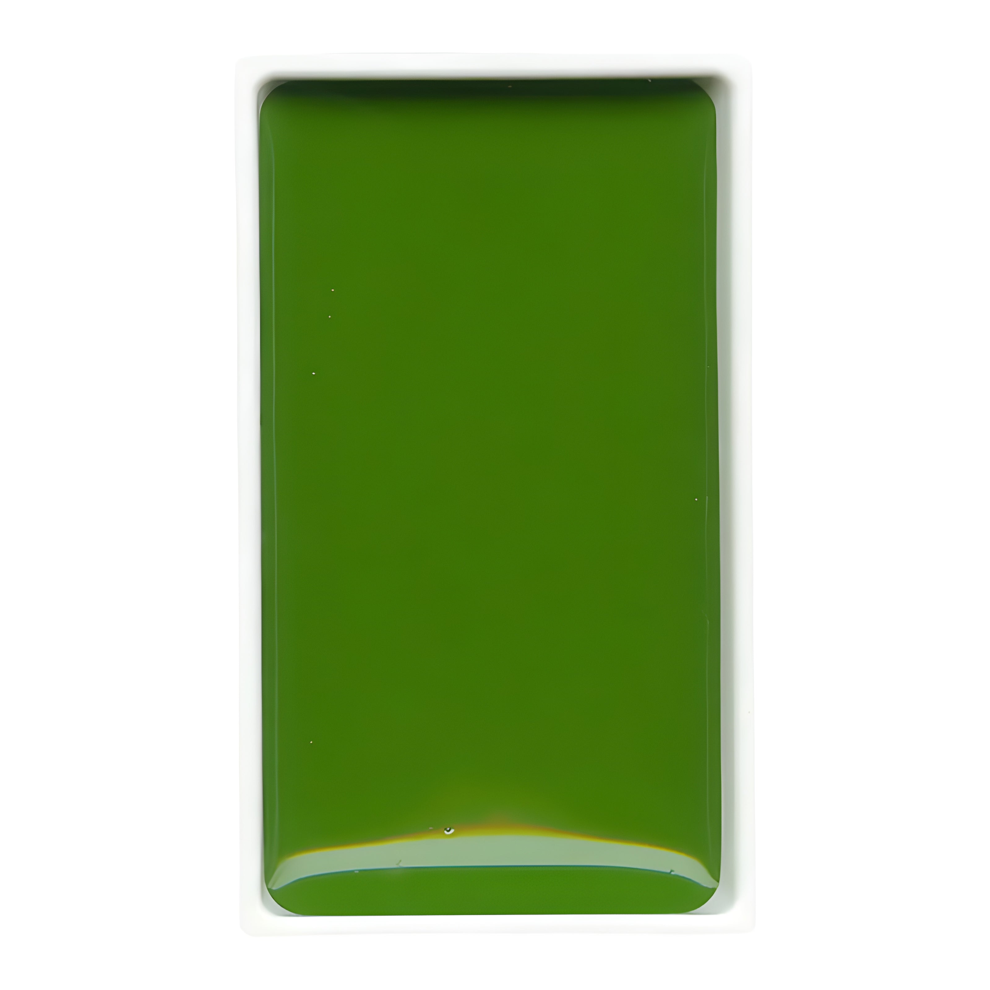 200908-tinta-aquarela-pastilha-gansai-tambi-053---sap-green-278537