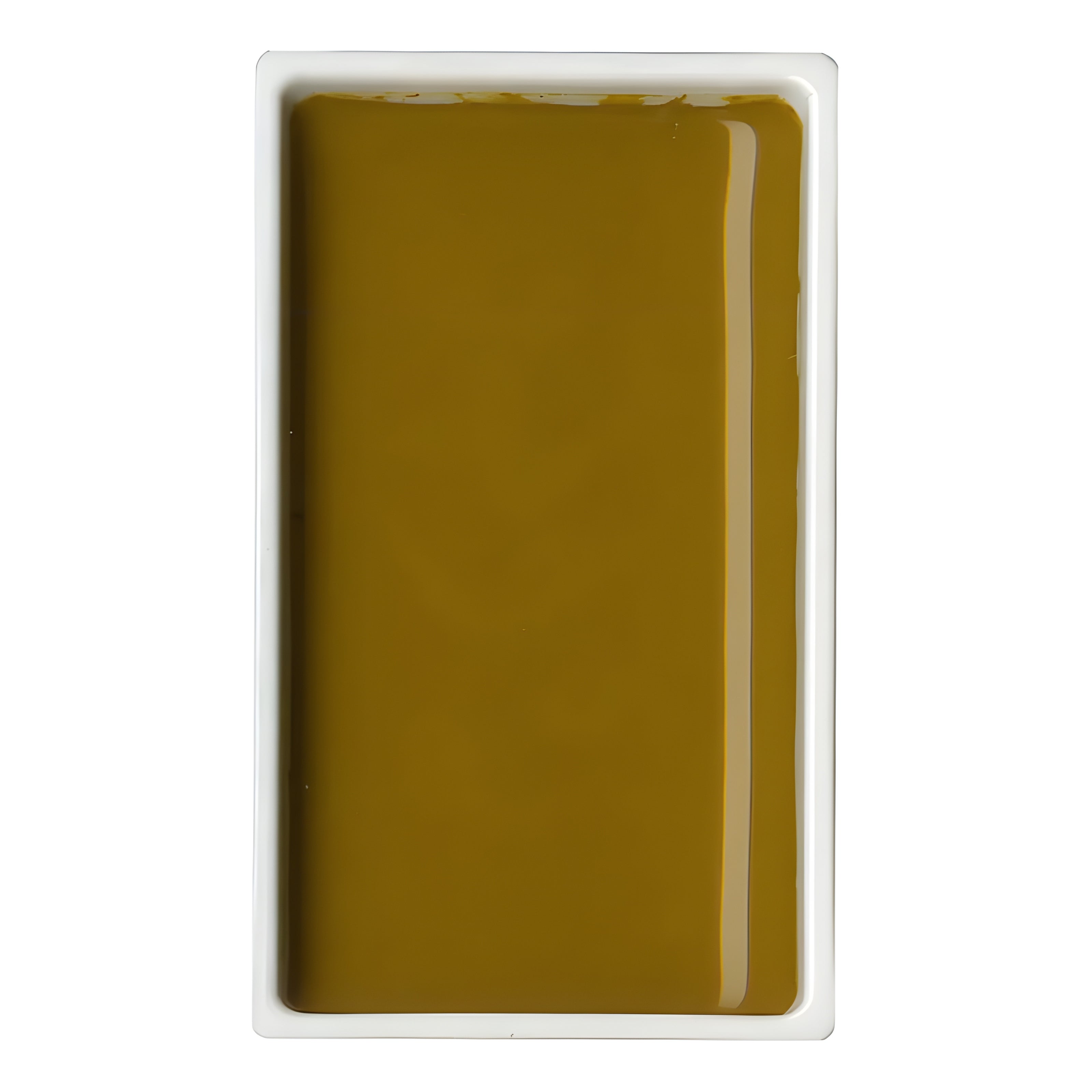 200919-tinta-aquarela-pastilha-gansai-tambi-049---yellow-brown-278366