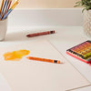 Estojo Giz Pastel Oleoso Caran D'ache Neocolor Ii Aquarelável com 10 Cores (Edição Especial)