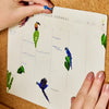 Planner Permanente Bloco Cicero 24,5x20,3cm Semanal Pássaros