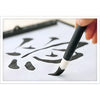 Tinta Nanquim Chinesa Sinoart 100ml Preto