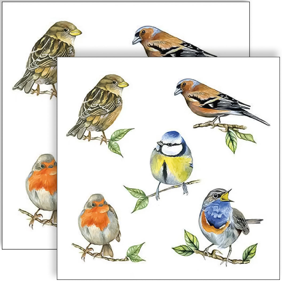Guardanapo para Decoupage Ambiente 33x33cm com 2 Unidades - Pássaros