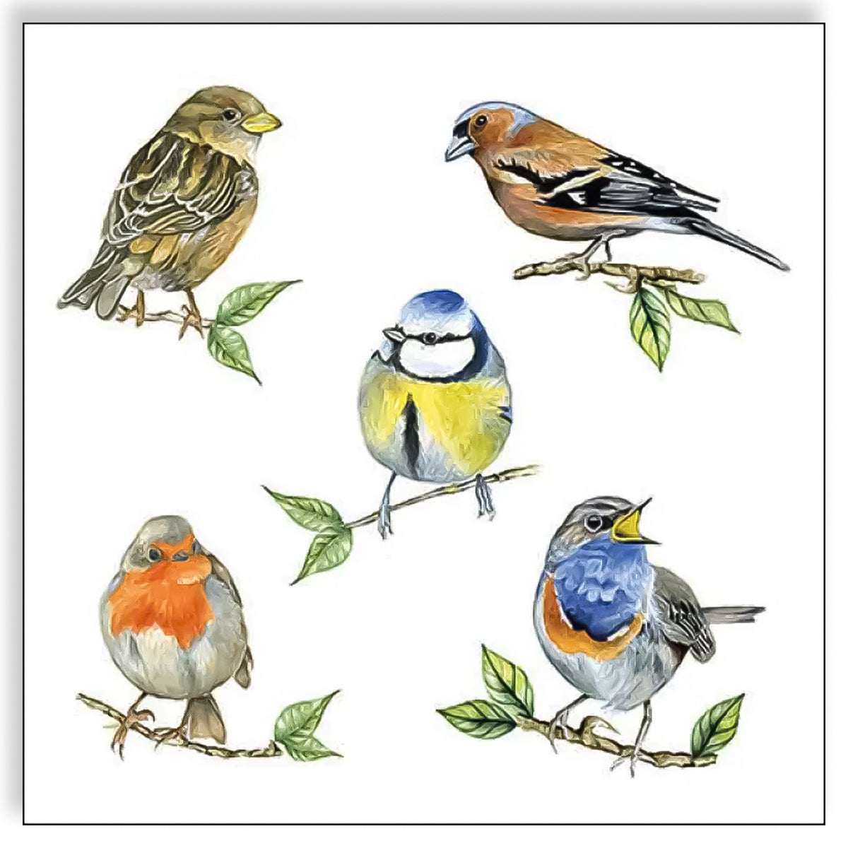 Guardanapo para Decoupage Ambiente 33x33cm com 2 Unidades - Pássaros