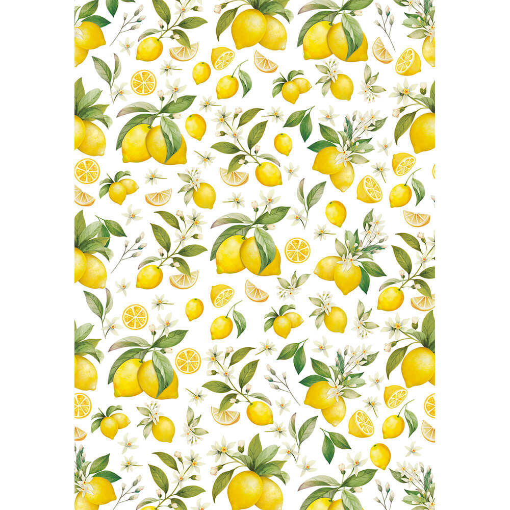 Estampa Adesiva Coleção Limoes 32x45cm para Artesanato e Scrapbook Esta-017 - Litoarte