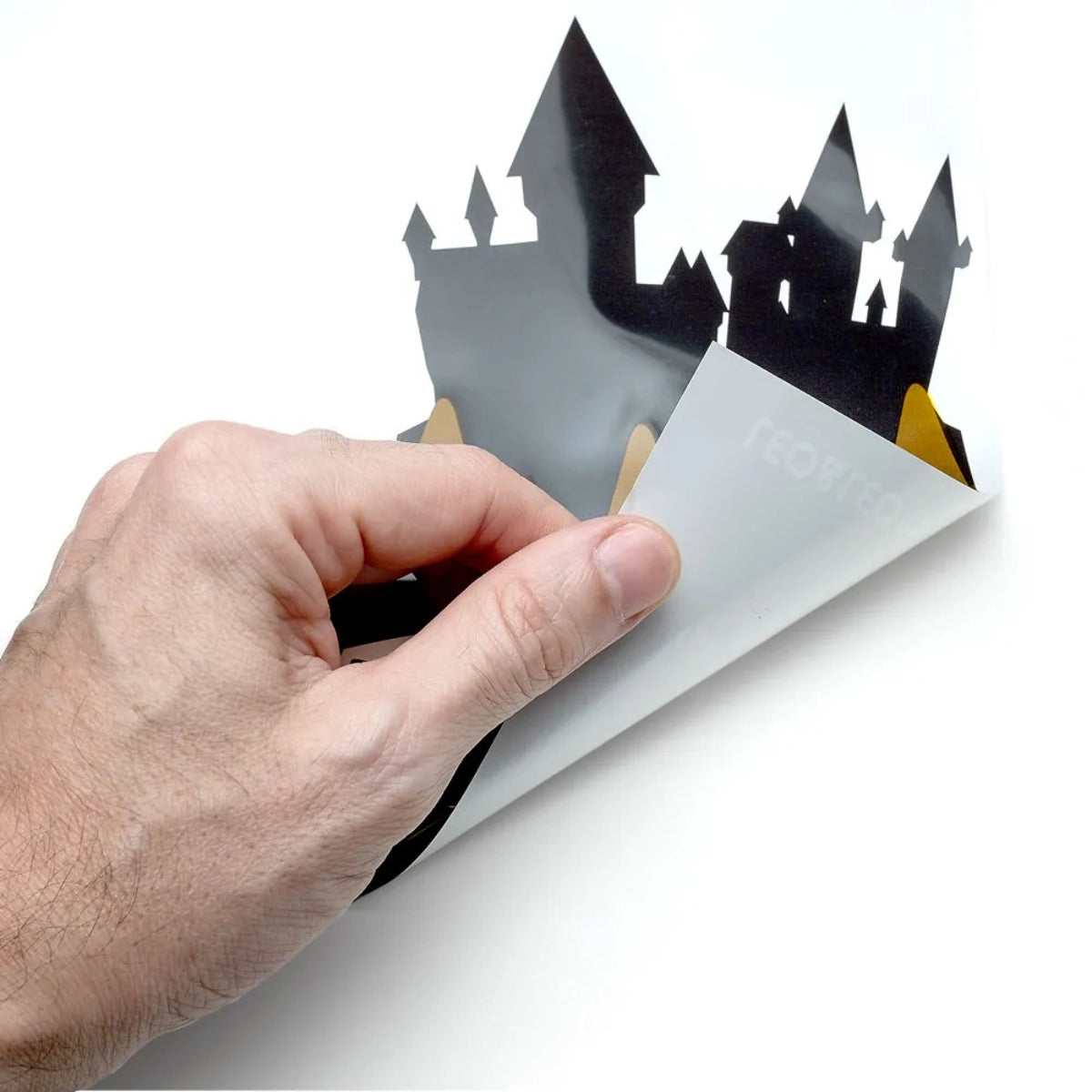 Quadro Eletrostatico 100x60cm Harry Potter - Leo & Leo 91613