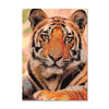 Kit de Pintura com Diamante 30x42cm - Olhar Felino