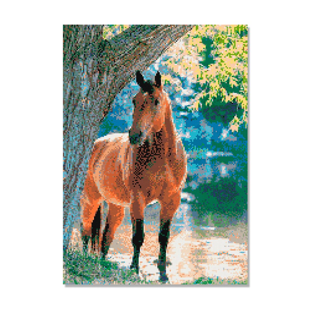 Kit de Pintura com Diamante 42x60cm - Cavalo no Campo
