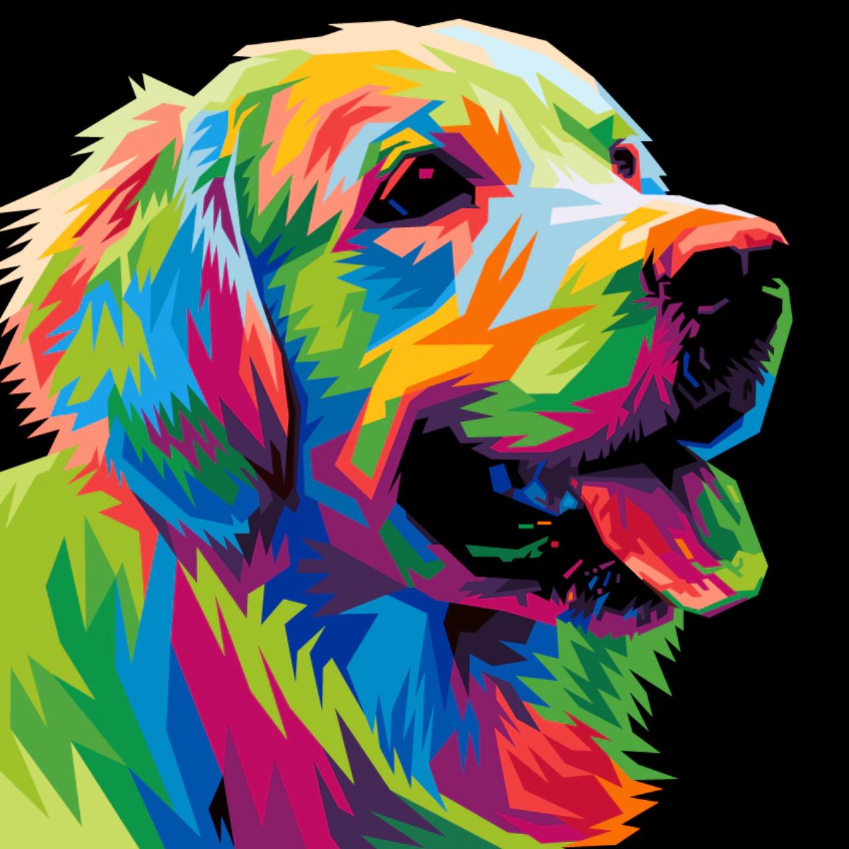 Kit de Tela Pintura Numerada 40x40cm - Dog