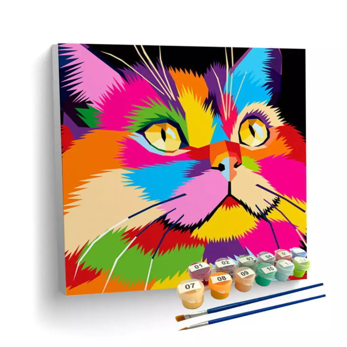 Kit de Tela Pintura Numerada 40x40cm - Gato Colorido