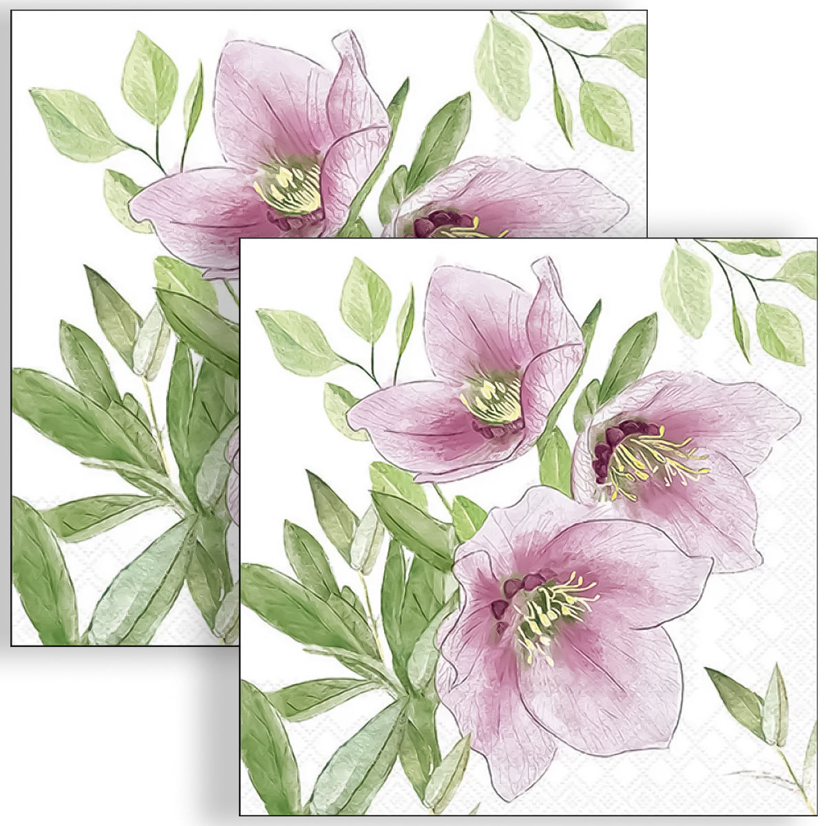 Guardanapo para Decoupage Ambiente 33x33cm com 20 Unidades - Flor Heleboro