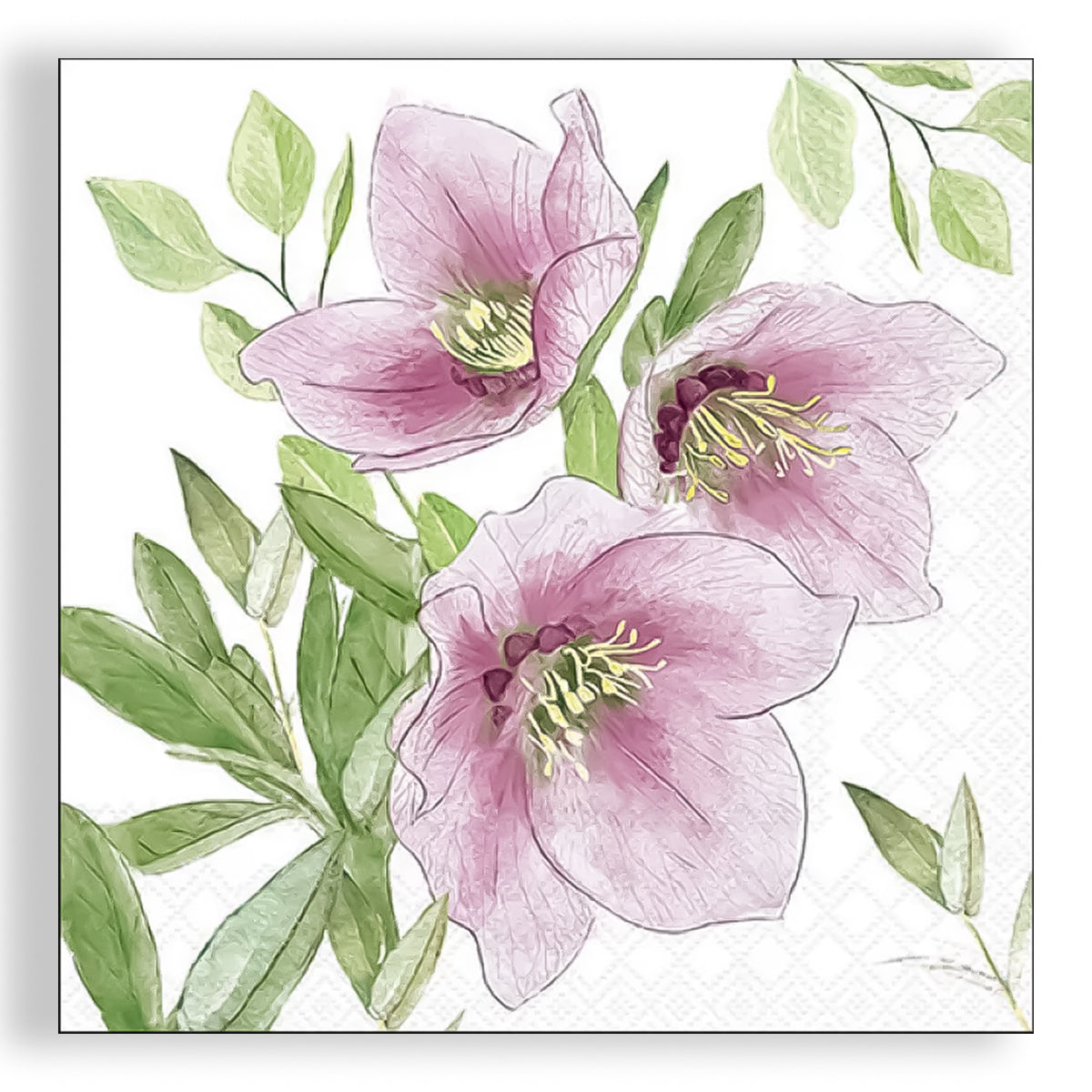 Guardanapo para Decoupage Ambiente 33x33cm com 20 Unidades - Flor Heleboro