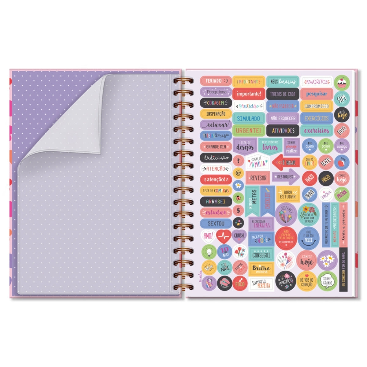 Caderno Colegial 10 Matérias Fun - Fina Ideia