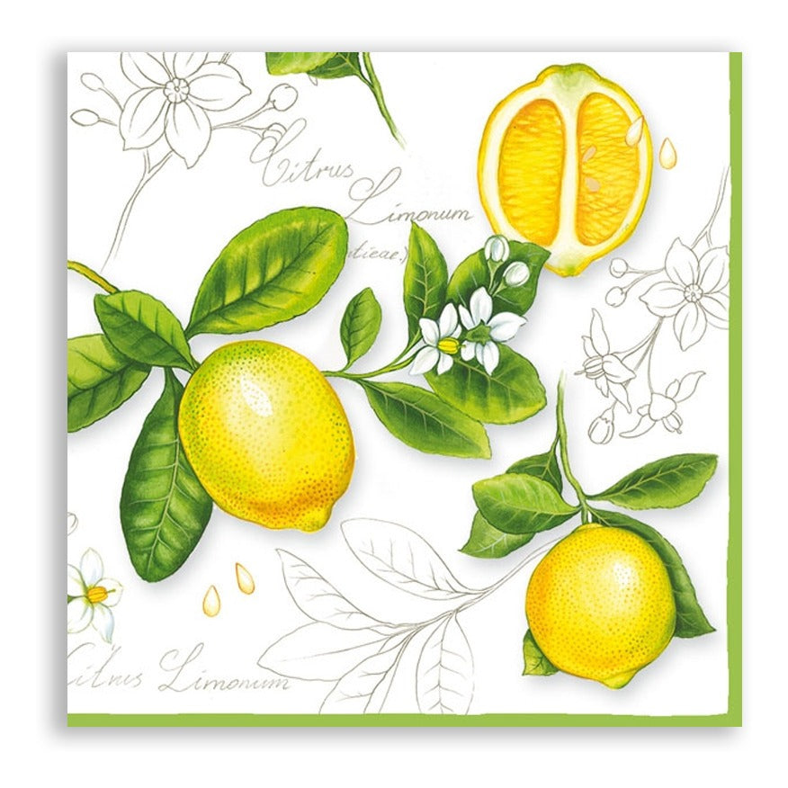 Guardanapo para Decoupage Ambiente 33x33cm com 2 Unidades - Limão Citrus