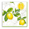 Guardanapo para Decoupage Ambiente 33x33cm com 2 Unidades - Limão Citrus