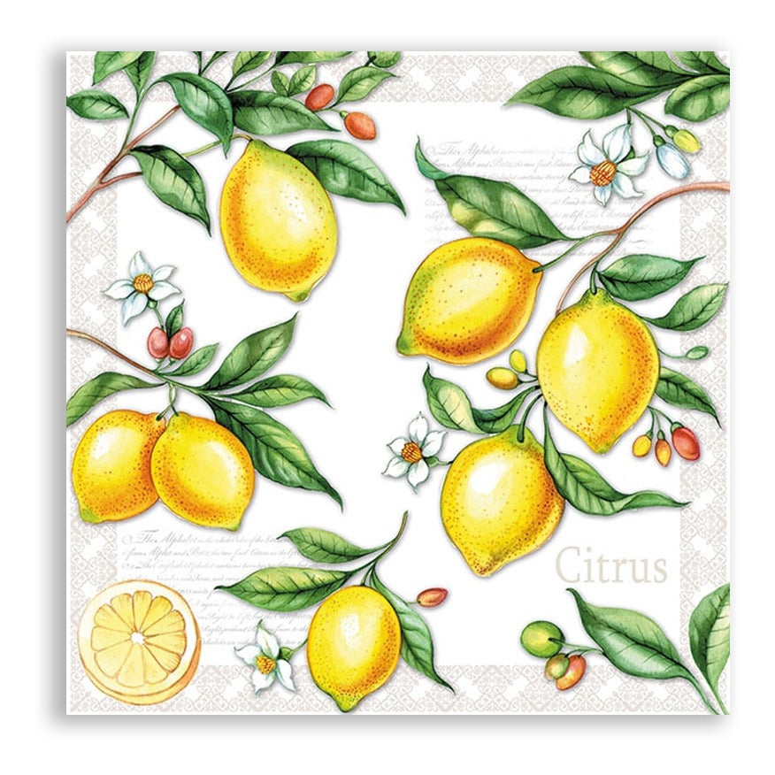 Guardanapo para Decoupage Ambiente 33x33cm com 2 Unidades - Citrus