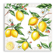 Guardanapo para Decoupage Ambiente 33x33cm com 2 Unidades - Citrus