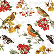 Guardanapo para Decoupage Ambiente 33x33cm com 2 Unidades - Aves de Outono