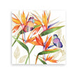 Guardanapo para Decoupage Ambiente 33x33cm com 2 Unidades - Flor Papagaio
