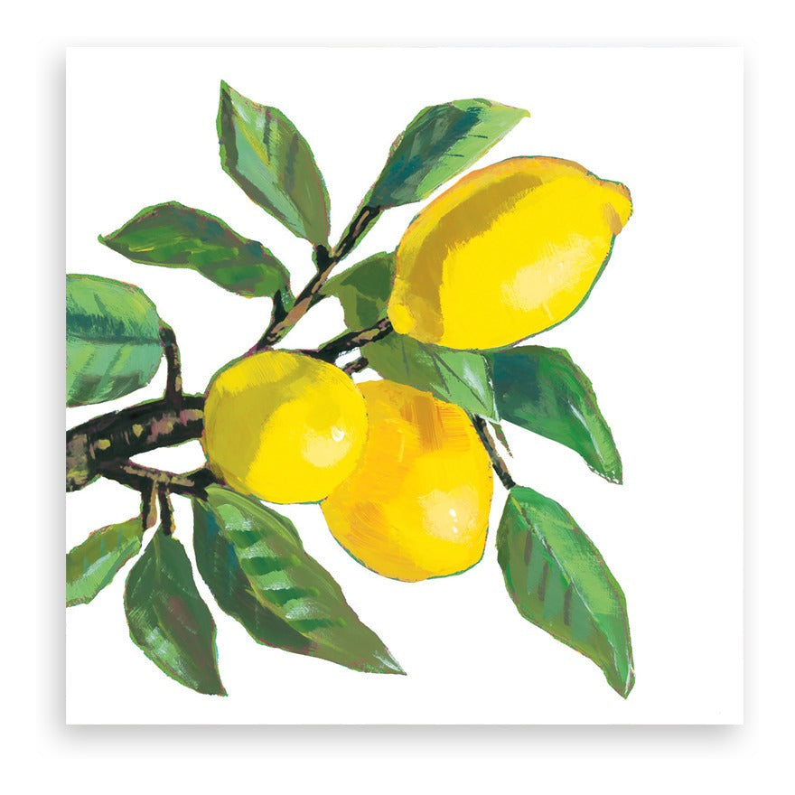 Guardanapo para Decoupage Ambiente 33x33cm com 2 Unidades - Limão Musee Branco