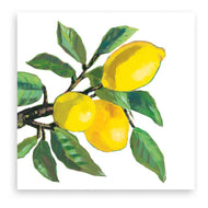 Guardanapo para Decoupage Ambiente 33x33cm com 2 Unidades - Limão Musee Branco