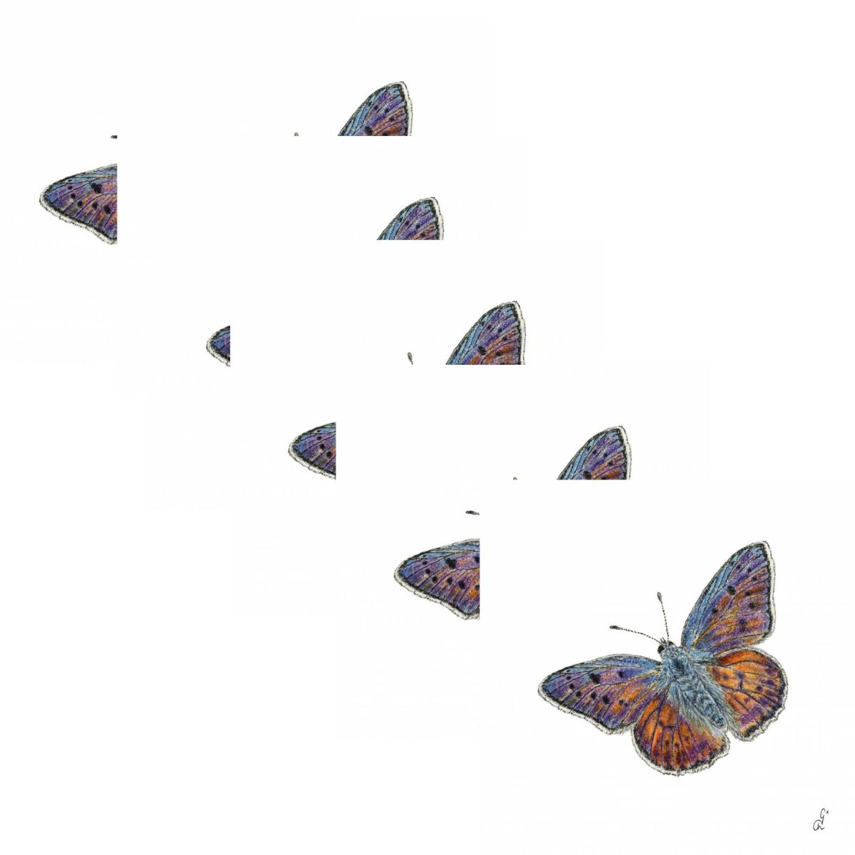 Guardanapo para Decoupage Ambiente 33x33cm com 20 Unidades - Gravata Borboleta