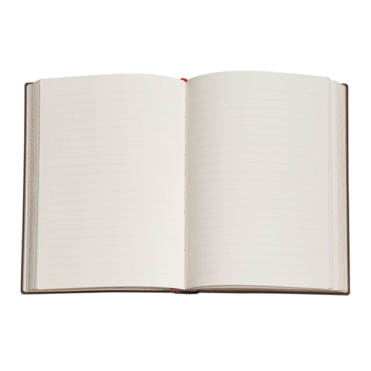 Caderno Paperblanks Grolier Capa Dura Grande 120g/m² 20,5x30cm 240 Páginas sem Pauta - Pb1594-9