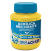 Tinta Acrilica Acrilex Brilhante 100ml