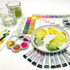 Estojo Aquarela Jean Haines 10 Tubos 15ml - Daniel Smith