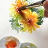 Estojo Aquarela Nicolas Lopez 10 Tubos 5ml - Daniel Smith