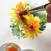 Estojo Aquarela Thomas Schaller 10 Tubos 5ml - Daniel Smith