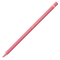 ROSA 082