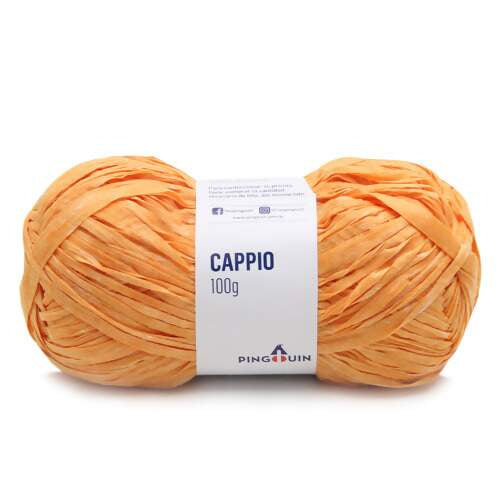 209638-fio-cappio-100g-tex-500-200mt-5295-577140