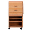Movel Organizador para Trabalho de Pintura Sinoart Matisse Beech Wood 
