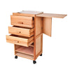 Movel Organizador para Trabalho de Pintura Sinoart Matisse Beech Wood 