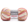 211253-fio-ludico-100g-tex689-145mt-9134-565878