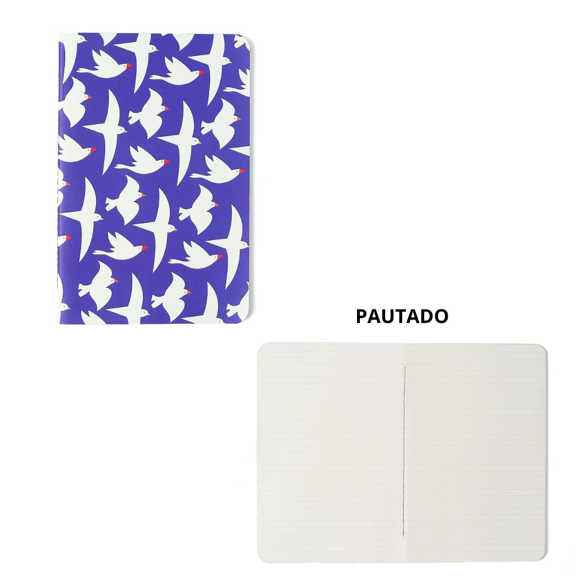Kit Caderneta Notas Mix Cicero 14x21cm 4 Miolos (Pautado, Pontado, Quadriculado e sem Pauta)