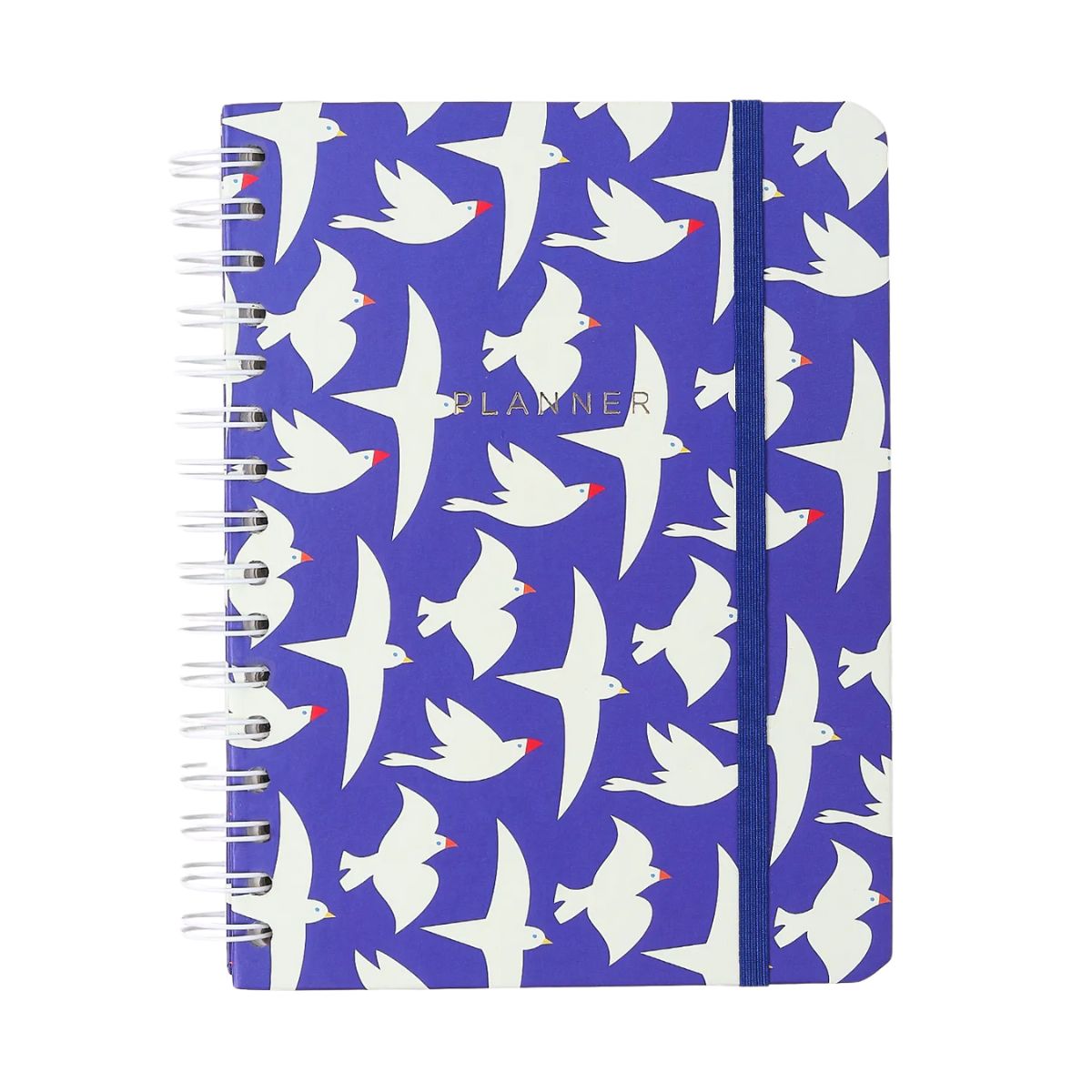 Planner Permanente Wire-o Cicero A5 14,8x21cm Semanal com Notas Litoral Revoada Azul 100 Folhas