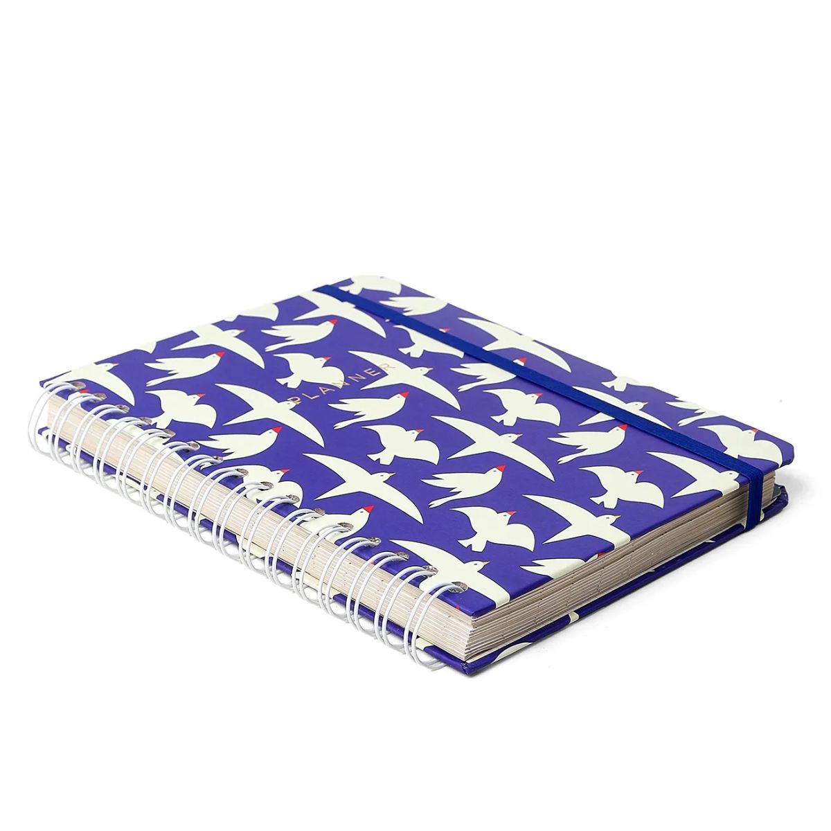 Planner Permanente Wire-o Cicero A5 14,8x21cm Semanal com Notas Litoral Revoada Azul 100 Folhas