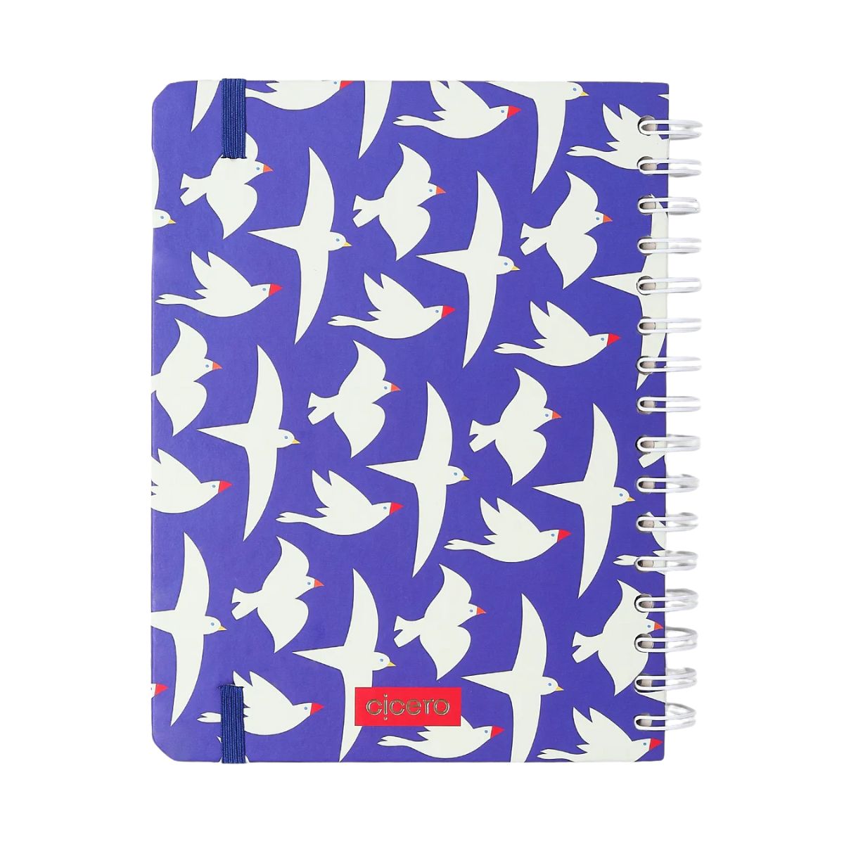 Planner Permanente Wire-o Cicero A5 14,8x21cm Semanal com Notas Litoral Revoada Azul 100 Folhas