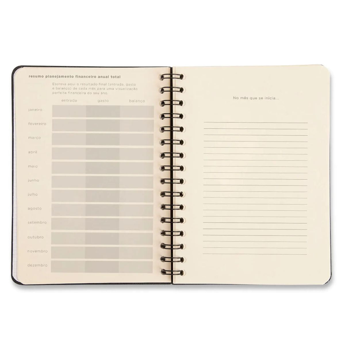 Planner Permanente Wire-o Cicero A5 14,8x21cm Financeiro Lagoa Passeio dos Cisnes 64 Folhas